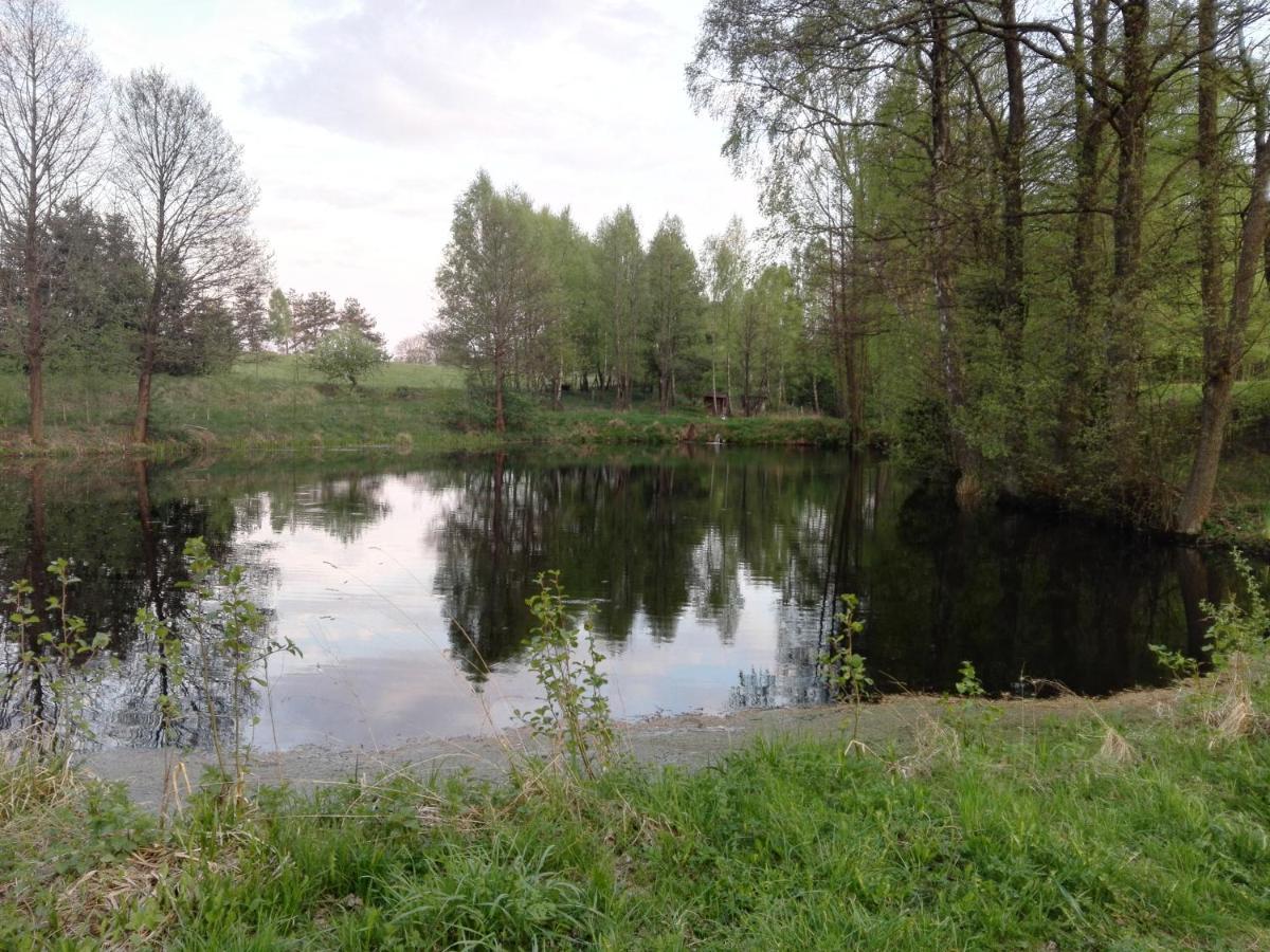 Villa Kaszubska Dolina Pieciu Stawow Wiele Exterior foto